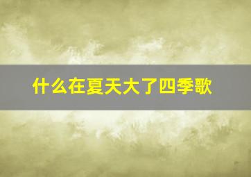 什么在夏天大了四季歌