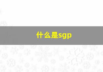 什么是sgp