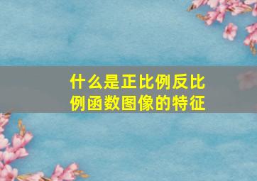 什么是正比例反比例函数图像的特征