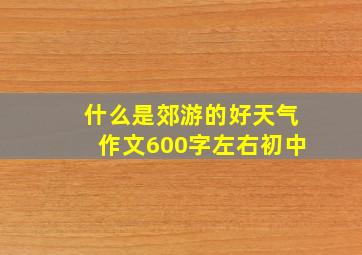 什么是郊游的好天气作文600字左右初中