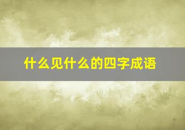 什么见什么的四字成语