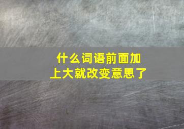 什么词语前面加上大就改变意思了