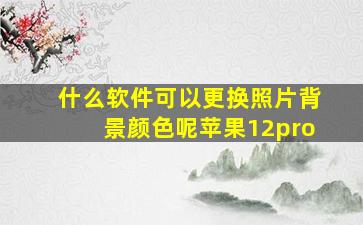 什么软件可以更换照片背景颜色呢苹果12pro