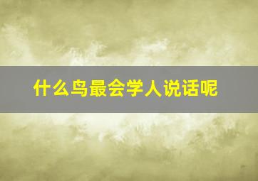 什么鸟最会学人说话呢