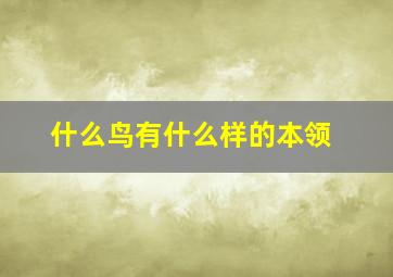 什么鸟有什么样的本领