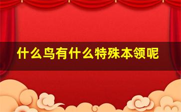 什么鸟有什么特殊本领呢