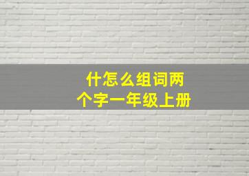 什怎么组词两个字一年级上册