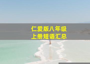 仁爱版八年级上册短语汇总