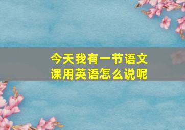 今天我有一节语文课用英语怎么说呢