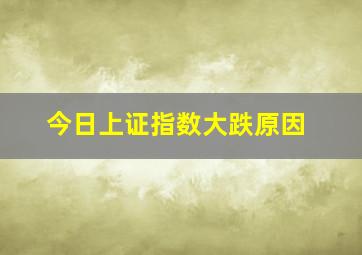 今日上证指数大跌原因