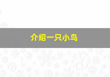 介绍一只小鸟