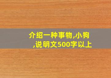 介绍一种事物,小狗,说明文500字以上