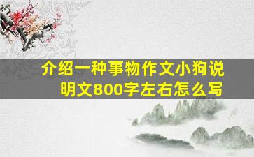 介绍一种事物作文小狗说明文800字左右怎么写