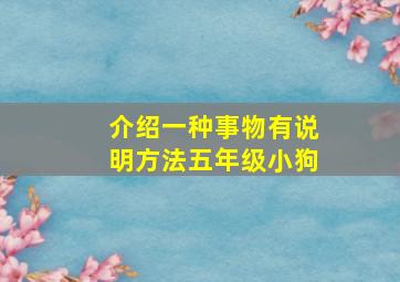 介绍一种事物有说明方法五年级小狗