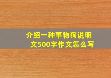 介绍一种事物狗说明文500字作文怎么写