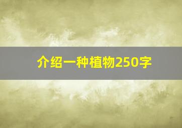 介绍一种植物250字