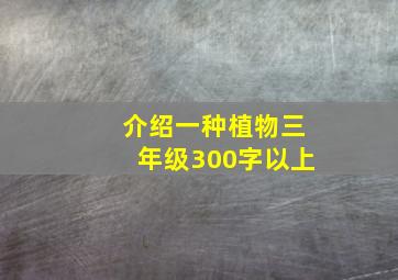 介绍一种植物三年级300字以上