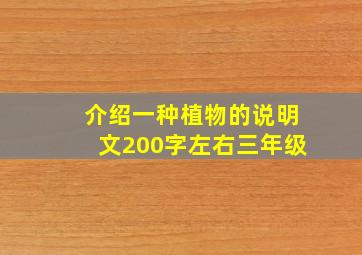 介绍一种植物的说明文200字左右三年级