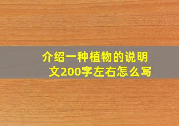 介绍一种植物的说明文200字左右怎么写