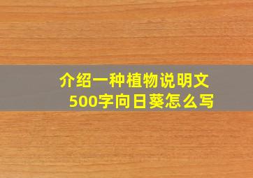 介绍一种植物说明文500字向日葵怎么写