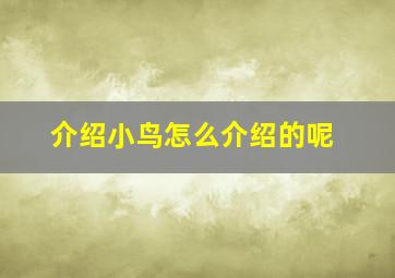 介绍小鸟怎么介绍的呢