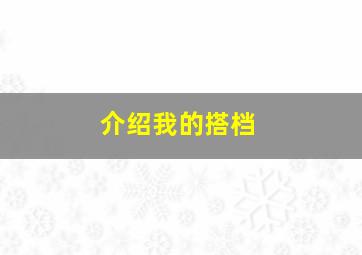 介绍我的搭档