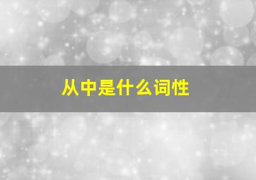 从中是什么词性