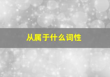 从属于什么词性