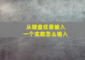 从键盘任意输入一个实数怎么输入