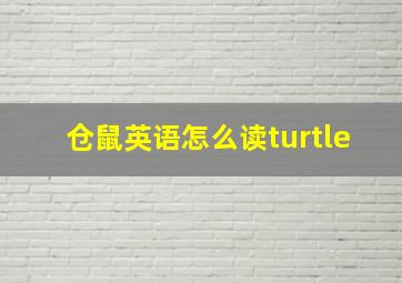 仓鼠英语怎么读turtle