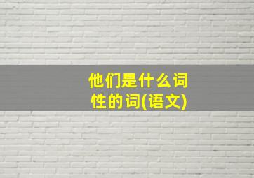 他们是什么词性的词(语文)