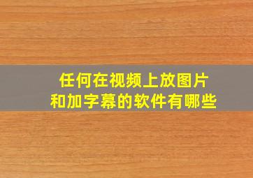 任何在视频上放图片和加字幕的软件有哪些