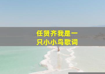 任贤齐我是一只小小鸟歌词