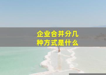 企业合并分几种方式是什么