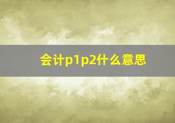 会计p1p2什么意思