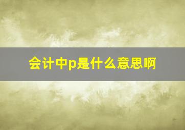 会计中p是什么意思啊