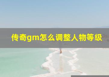 传奇gm怎么调整人物等级