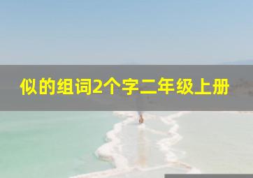 似的组词2个字二年级上册