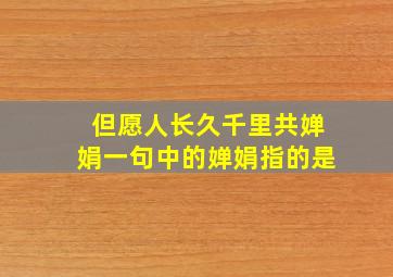 但愿人长久千里共婵娟一句中的婵娟指的是