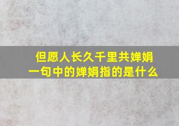 但愿人长久千里共婵娟一句中的婵娟指的是什么