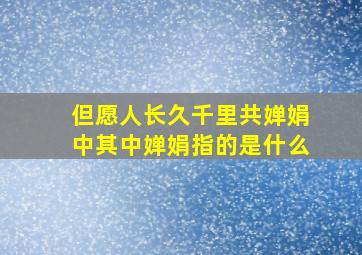 但愿人长久千里共婵娟中其中婵娟指的是什么