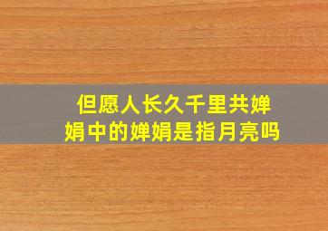 但愿人长久千里共婵娟中的婵娟是指月亮吗