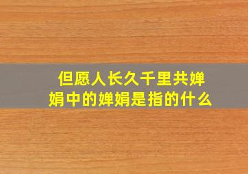 但愿人长久千里共婵娟中的婵娟是指的什么