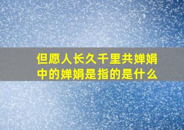 但愿人长久千里共婵娟中的婵娟是指的是什么