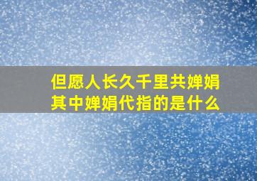 但愿人长久千里共婵娟其中婵娟代指的是什么