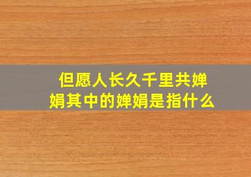 但愿人长久千里共婵娟其中的婵娟是指什么