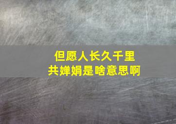 但愿人长久千里共婵娟是啥意思啊