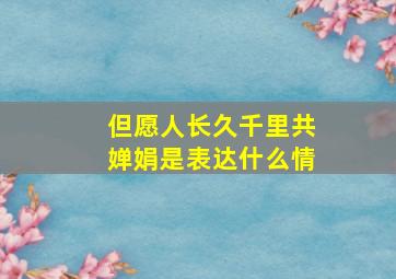 但愿人长久千里共婵娟是表达什么情