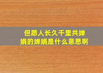 但愿人长久千里共婵娟的婵娟是什么意思啊