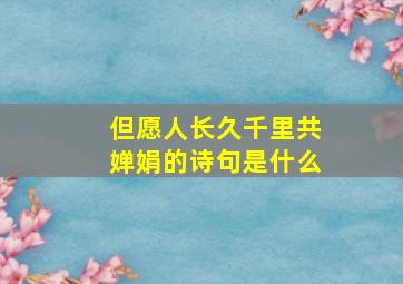 但愿人长久千里共婵娟的诗句是什么